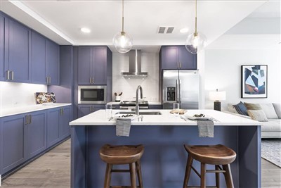 Tumesinine raputaja köögikapid